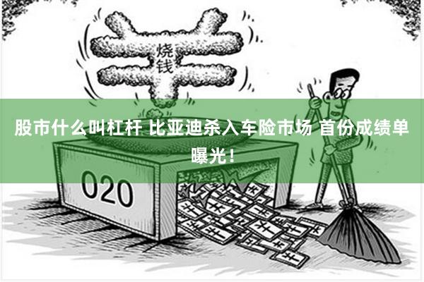股市什么叫杠杆 比亚迪杀入车险市场 首份成绩单曝光！