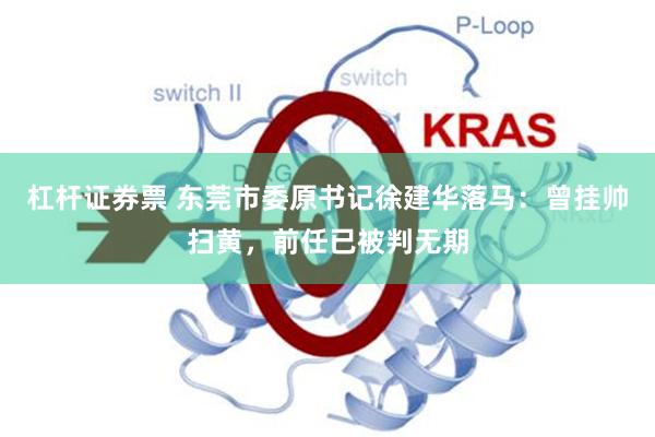 杠杆证券票 东莞市委原书记徐建华落马：曾挂帅扫黄，前任已被判无期