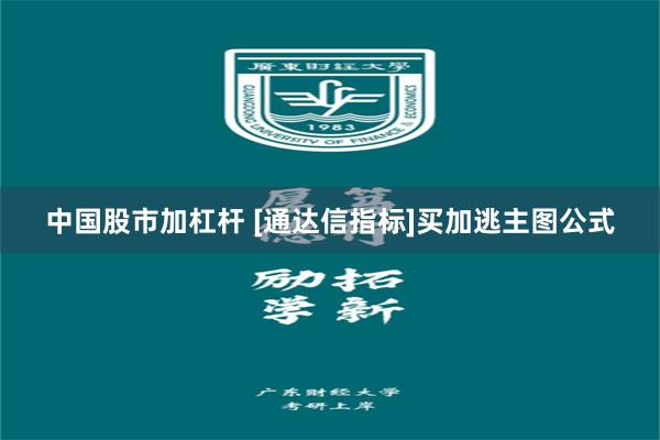 中国股市加杠杆 [通达信指标]买加逃主图公式