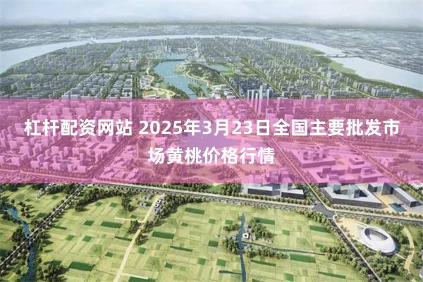杠杆配资网站 2025年3月23日全国主要批发市场黄桃价格行情