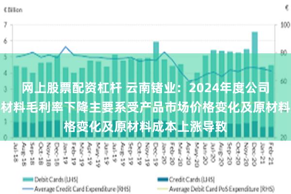 网上股票配资杠杆 云南锗业：2024年度公司化合物半导体材料毛利率下降主要系受产品市场价格变化及原材料成本上涨导致