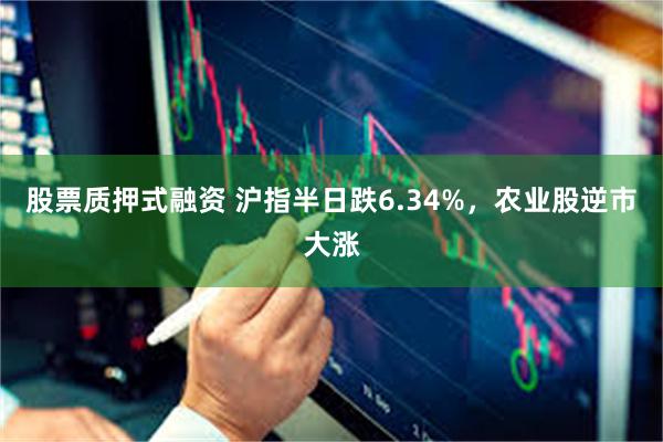股票质押式融资 沪指半日跌6.34%，农业股逆市大涨