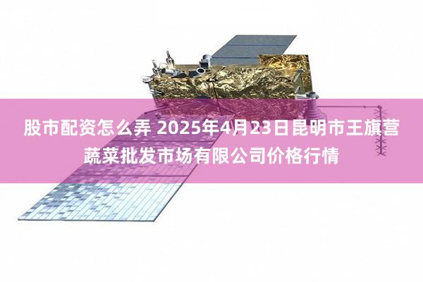 股市配资怎么弄 2025年4月23日昆明市王旗营蔬菜批发市场有限公司价格行情