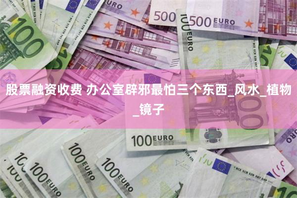 股票融资收费 办公室辟邪最怕三个东西_风水_植物_镜子