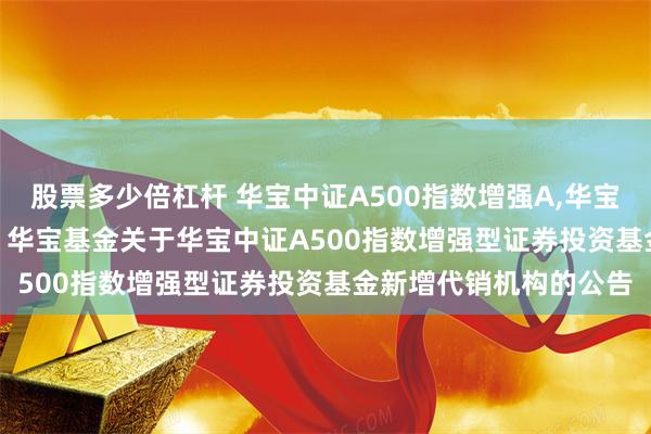股票多少倍杠杆 华宝中证A500指数增强A,华宝中证A500指数增强C: 华宝基金关于华宝中证A500指数增强型证券投资基金新增代销机构的公告