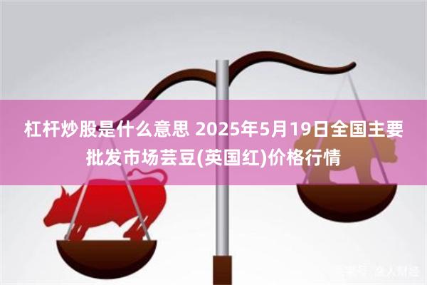 杠杆炒股是什么意思 2025年5月19日全国主要批发市场芸豆(英国红)价格行情