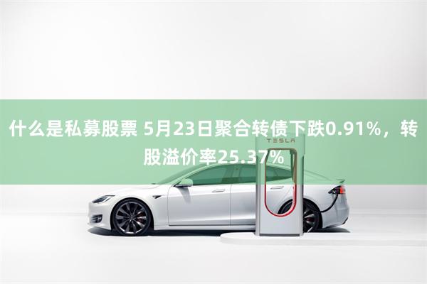 什么是私募股票 5月23日聚合转债下跌0.91%，转股溢价率25.37%