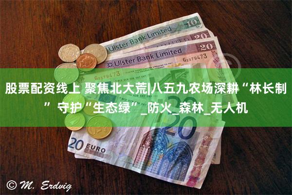 股票配资线上 聚焦北大荒|八五九农场深耕“林长制” 守护“生态绿”_防火_森林_无人机