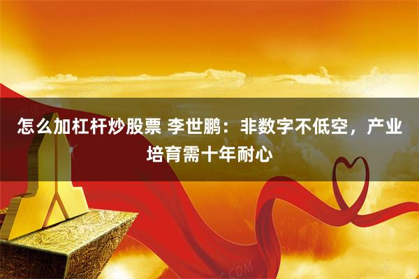 怎么加杠杆炒股票 李世鹏：非数字不低空，产业培育需十年耐心