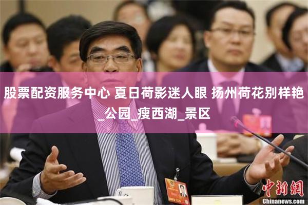 股票配资服务中心 夏日荷影迷人眼 扬州荷花别样艳_公园_瘦西湖_景区