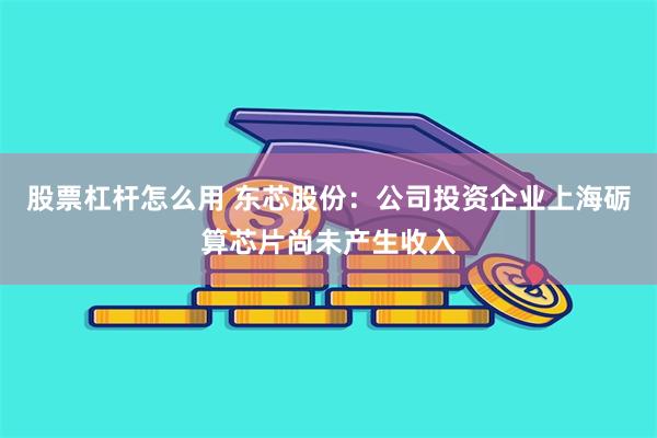 股票杠杆怎么用 东芯股份：公司投资企业上海砺算芯片尚未产生收入