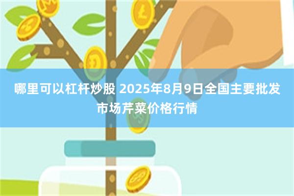 哪里可以杠杆炒股 2025年8月9日全国主要批发市场芹菜价格行情