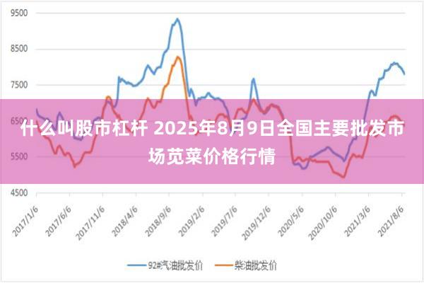 什么叫股市杠杆 2025年8月9日全国主要批发市场苋菜价格行情