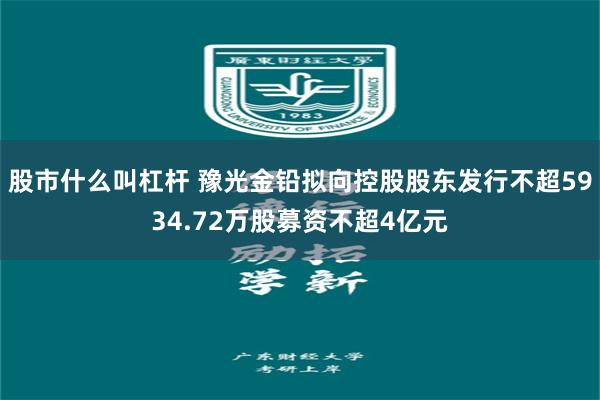 股市什么叫杠杆 豫光金铅拟向控股股东发行不超5934.72万股募资不超4亿元