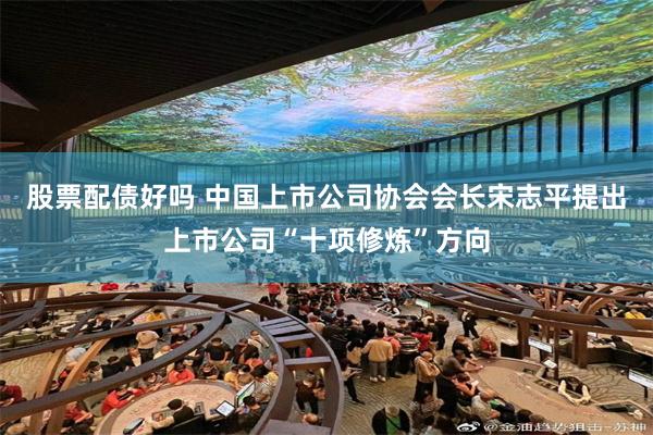 股票配债好吗 中国上市公司协会会长宋志平提出上市公司“十项修炼”方向