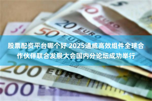 股票配资平台哪个好 2025通威高效组件全球合作伙伴联合发展大会国内分论坛成功举行
