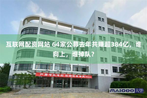 互联网配资网站 64家公募去年共赚超384亿，谁向上，谁掉队？