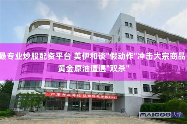 最专业炒股配资平台 美伊和谈"假动作"冲击大宗商品，黄金原油遭遇"双杀"
