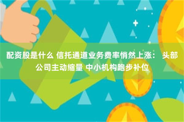 配资股是什么 信托通道业务费率悄然上涨: 头部公司主动缩量 中小机构跑步补位