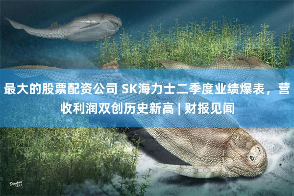 最大的股票配资公司 SK海力士二季度业绩爆表，营收利润双创历史新高 | 财报见闻