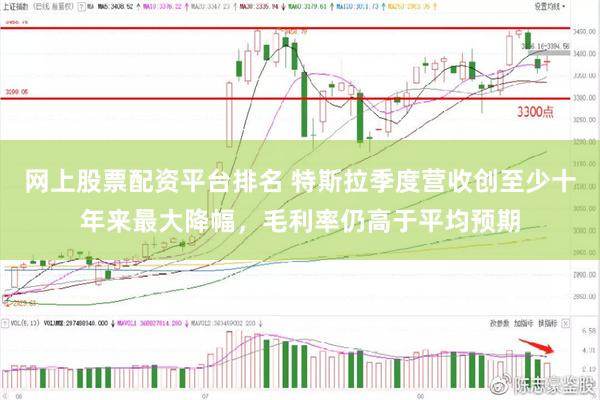 网上股票配资平台排名 特斯拉季度营收创至少十年来最大降幅,毛利率仍高于平均预期