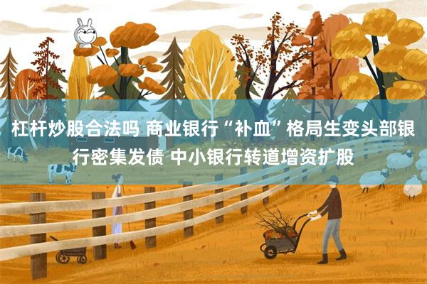 杠杆炒股合法吗 商业银行“补血”格局生变头部银行密集发债 中小银行转道增资扩股