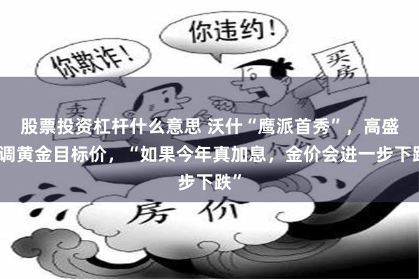 股票投资杠杆什么意思 沃什“鹰派首秀”，高盛下调黄金目标价，“如果今年真加息，金价会进一步下跌”