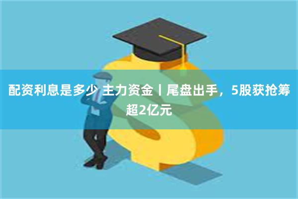 配资利息是多少 主力资金丨尾盘出手，5股获抢筹超2亿元