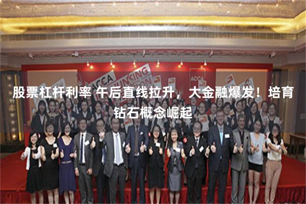 股票杠杆利率 午后直线拉升，大金融爆发！培育钻石概念崛起