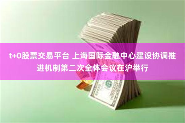 t+0股票交易平台 上海国际金融中心建设协调推进机制第二次全体会议在沪举行