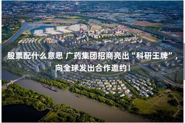 股票配什么意思 广药集团招商亮出“科研王牌”，向全球发出合作邀约！