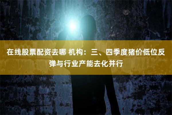 在线股票配资去哪 机构：三、四季度猪价低位反弹与行业产能去化并行