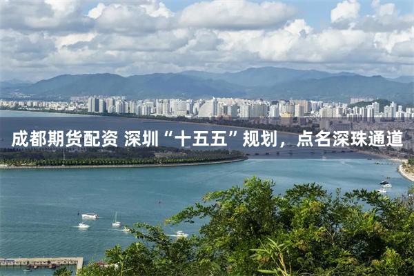 成都期货配资 深圳“十五五”规划，点名深珠通道