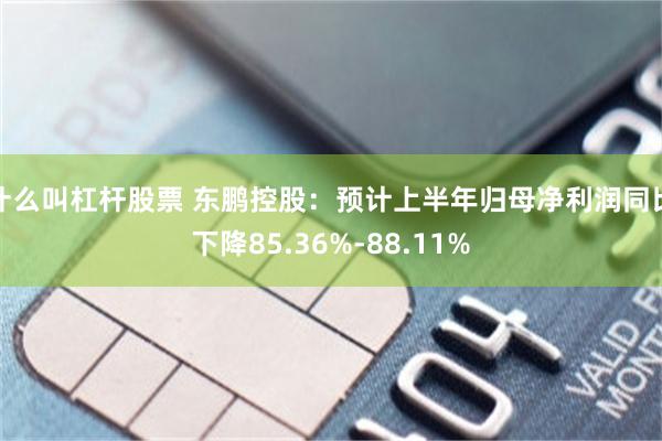什么叫杠杆股票 东鹏控股：预计上半年归母净利润同比下降85.36%-88.11%