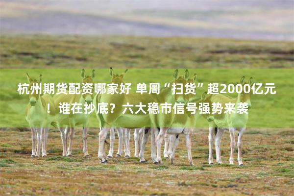 杭州期货配资哪家好 单周“扫货”超2000亿元!谁在抄底?六大稳市信号强势来袭