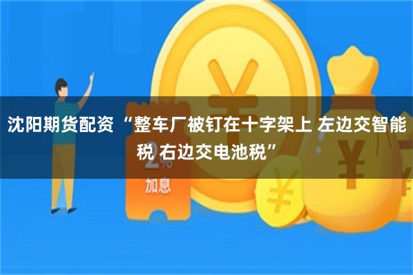 沈阳期货配资 “整车厂被钉在十字架上 左边交智能税 右边交电池税”