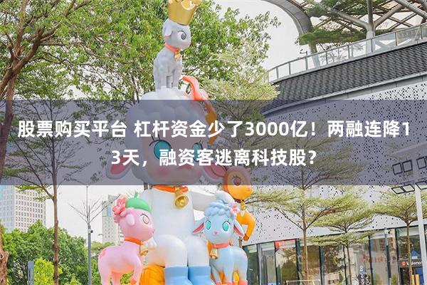股票购买平台 杠杆资金少了3000亿！两融连降13天，融资客逃离科技股？
