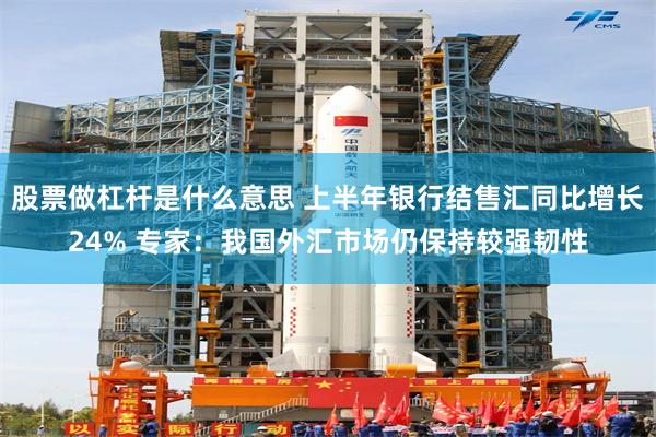 股票做杠杆是什么意思 上半年银行结售汇同比增长24% 专家:我国外汇市场仍保持较强韧性