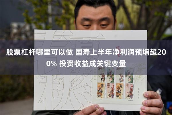 股票杠杆哪里可以做 国寿上半年净利润预增超200% 投资收益成关键变量
