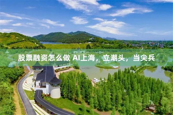股票融资怎么做 AI上海，立潮头，当尖兵