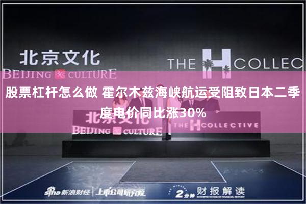 股票杠杆怎么做 霍尔木兹海峡航运受阻致日本二季度电价同比涨30%