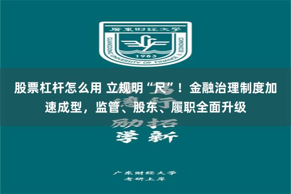 股票杠杆怎么用 立规明“尺”！金融治理制度加速成型，监管、股东、履职全面升级
