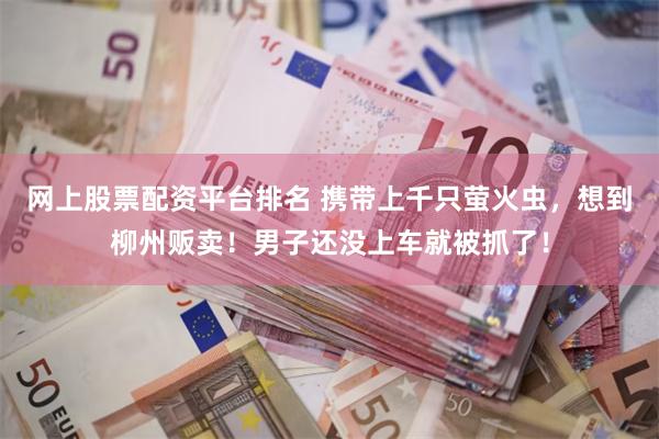 网上股票配资平台排名 携带上千只萤火虫，想到柳州贩卖！男子还没上车就被抓了！