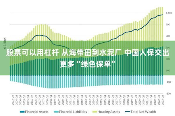 股票可以用杠杆 从海带田到水泥厂 中国人保交出更多“绿色保单”
