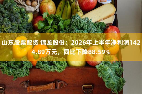 山东股票配资 锦龙股份：2026年上半年净利润1424.89万元，同比下降88.59%