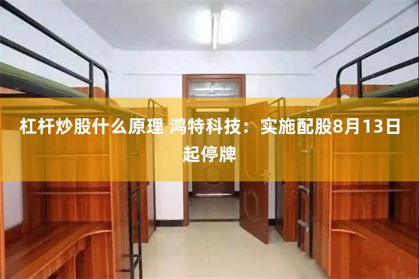 杠杆炒股什么原理 鸿特科技：实施配股8月13日起停牌