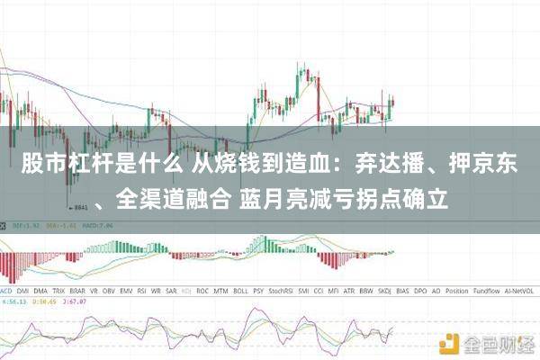 股市杠杆是什么 从烧钱到造血：弃达播、押京东、全渠道融合 蓝月亮减亏拐点确立