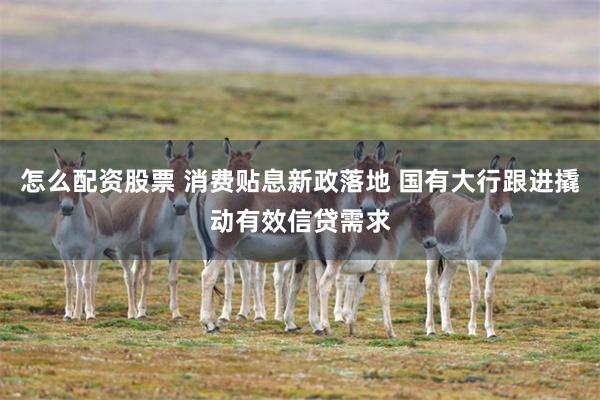 怎么配资股票 消费贴息新政落地 国有大行跟进撬动有效信贷需求