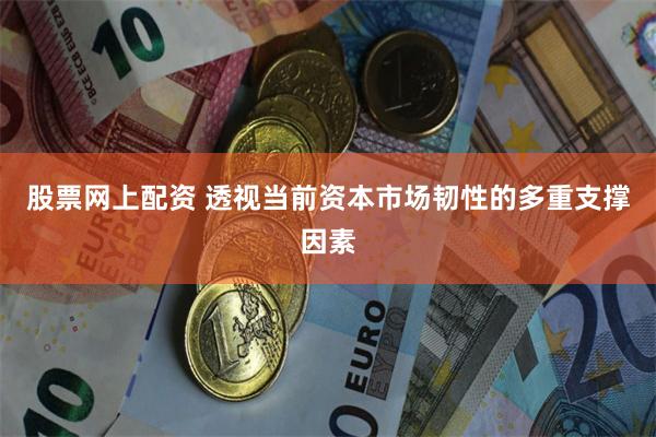 股票网上配资 透视当前资本市场韧性的多重支撑因素