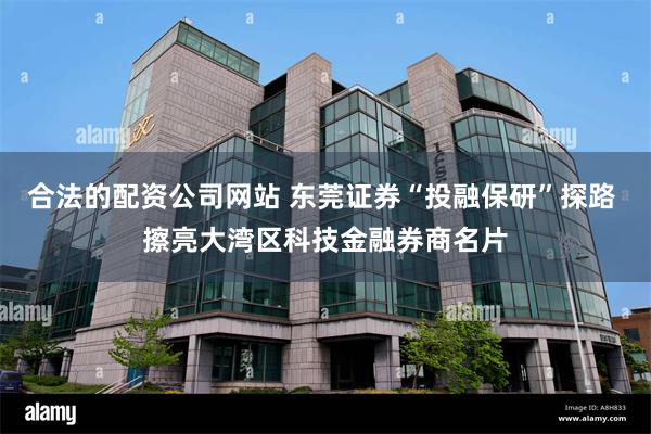 合法的配资公司网站 东莞证券“投融保研”探路 擦亮大湾区科技金融券商名片
